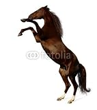 Wallmonkeys Peel and Stick Wall Decals - Sorrel Mare - the Budenny Horse - Removable Graphic