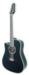Guitare Electro-Acoustique 12 Cordes...