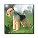 Lakeland Terrier - 8 Inch Ceramic Tile