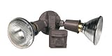 Ace Motion Sensor (AC5408-BZ)