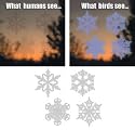 Window Alert Snowflake Decal