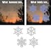 Window Alert Snowflake Decal