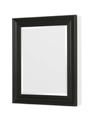 Deco 24" x 30" x 5.5" Framed Medicine Cabinet Frame Finish: Espresso