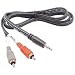 Electronics : Hosa CMR206 6 foot stereo minijack to two phono plugs