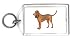Keychain with hound, standing, pet, dog, brown