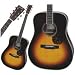 D60SBT Acoustic Guitar (Sunburst Top)
