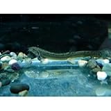 ���i�̏ڍ�