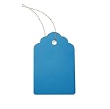 Mr-Label®多色プラスチック園芸ラベル、服装牌-防水、耐久苗木のラベル，45×30mm，100枚 (靑い)