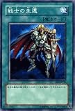 ��ͷ�������󥰥륫���ɡ� �ԥӥ��ʡ��������ǥ������2�� ��Τ����� �Ρ��ޥ� be2-jp149