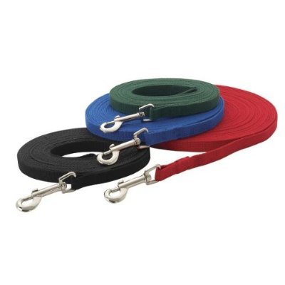 Leads For Dogs