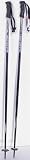 Scott Division Alpine Ski Poles