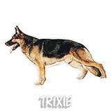 Eigenschaften Trixie  / Aufkl. Deutscher Schäferhund, (S)