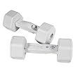 Dumbbells (Nintendo Wii)