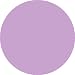 Wall Pops Removable Designs Purple Perk Dot