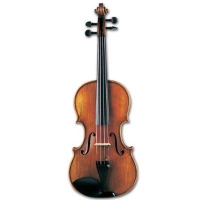 Franz Werner Concert Viola - 16 inch