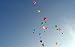 Luftballons - 24W x 15H - Peel and Stick Wall Decal by Wallmonkeys