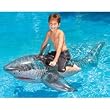 Swimline Shark Ride-On Inflatable