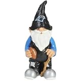 Carolina Panthers Team Gnome