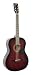 Johnson JG-100-R Student Acoustic Guitar, Redburst