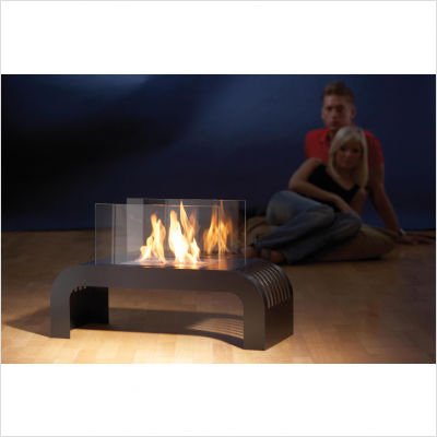 Cincinnati Bio Ethanol Indoor Fireplace Finish: Black