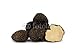 Wallmonkeys Peel and Stick Wall Decals - Truffle Tuber Melanosporum Mushroom - 18