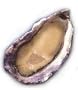Charleston Seafood Oysters, 20-Pound Box