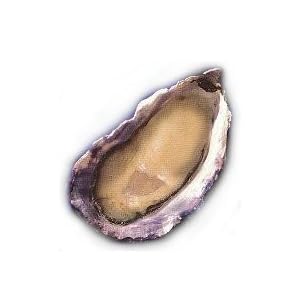 Charleston Seafood Oysters, 20-Pound Box by Charleston Seafood