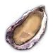 Charleston Seafood Oysters, 20-Pound Box