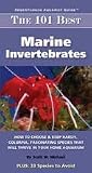 TFH 101 BEST MAR INVERTEBRATES