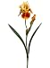 Faux 28 Bearded Iris Spray Yellow Brown (Pack of 12)