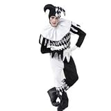 Harlequin Male Costume
