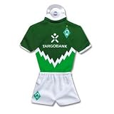 SV Werder Bremen Trikot / Autotrikot Sasion 2010/2011