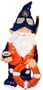 Forever Collectibles United States Coast Guard Military Garden Gnome