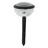 Buy Cascade 0207-0315 Solar Pathway Lights, Black, 4-Set by Cascade