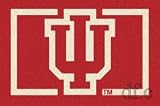 Indiana Hoosiers Team Spirit Rug : Indiana Hoo