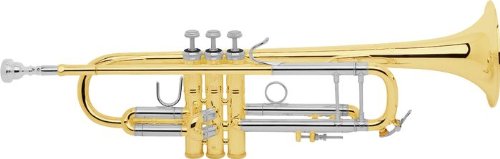 Bach 180-37 Stradivarius Professional Trumpet 18037 Lacquer Yellow Brass Bell