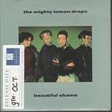 BEAUTIFUL SHAME 7 INCH (7" VINYL 45) UK CHRYSALIS 1989