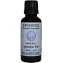 Lavender 100% Pure Essential Oil - 30 ml