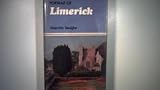 Portrait of Limerick