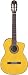 Takamine EC132SC Classical Cutaway Acoustic-Electric Guitar with Case
