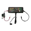 BatteryMINDer 12 Volt OnBoard Battery Restorer/Conditioner - Model# OBD-12