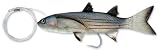 Williamson Live Mullet 08- Rigged