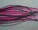 4-6 Hot Pink, Grizzly, & Solid Black Remix 5 Quality Salon Feathers Hair Extension!