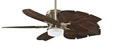 Fanimation MAD3260AB / B5280WA Antique Brass with Walnut Leaf Carved Wood Blades Sandella DC Sandell