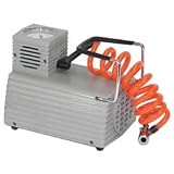 Economy Electric Pump