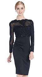 Lace Illusion Applique Long Sleeves Polyester Bodycon Dress/Club Dress 