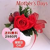 �y5/9�����w��z��ɑ���v���U�[�u�h�t�����[2009�@�G���K���g���[�Y�@�Z���i�[�f�@���b�h �@�P�[�X����i�v���U�[�u�h�t�����[�j���y��̓��M�t�g�z�y����E�����ɂ��͂�����1000�~�z