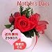 �y5/9�����w��z��ɑ���v���U�[�u�h�t�����[2009�@�G���K���g���[�Y�@�Z���i�[�f�@���b�h �@�P�[�X����i�v���U�[�u�h�t�����[�j���y��̓��M�t�g�z�y����E�����ɂ��͂�����1000�~�z