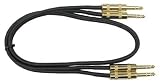 Hosa CSS403G Dual 3Ft Gold-plated Stereo Jack to Stereo Jack Lead