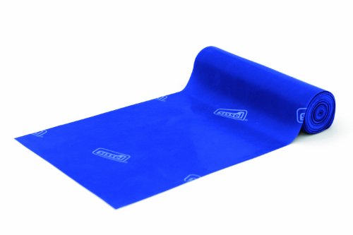 SISSEL Physiotherpie Band Fit, blau Preisvergleich